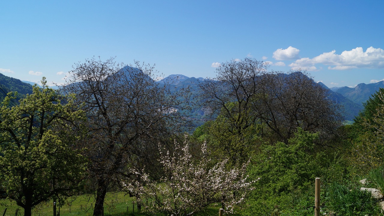 Photo of Outdoor in Samerberg