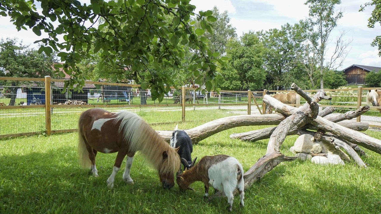 Photo of Outdoor in Seeon-Seebruck