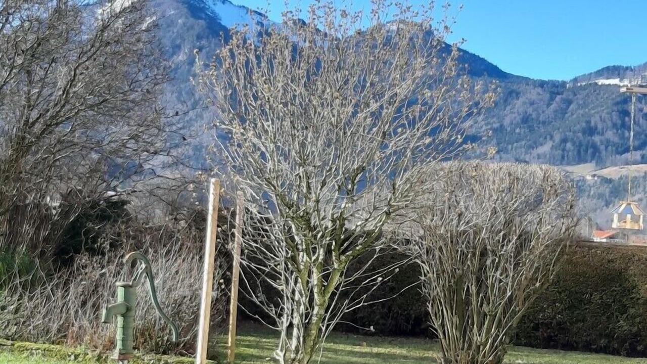 Photo of Outdoor in Marquartstein