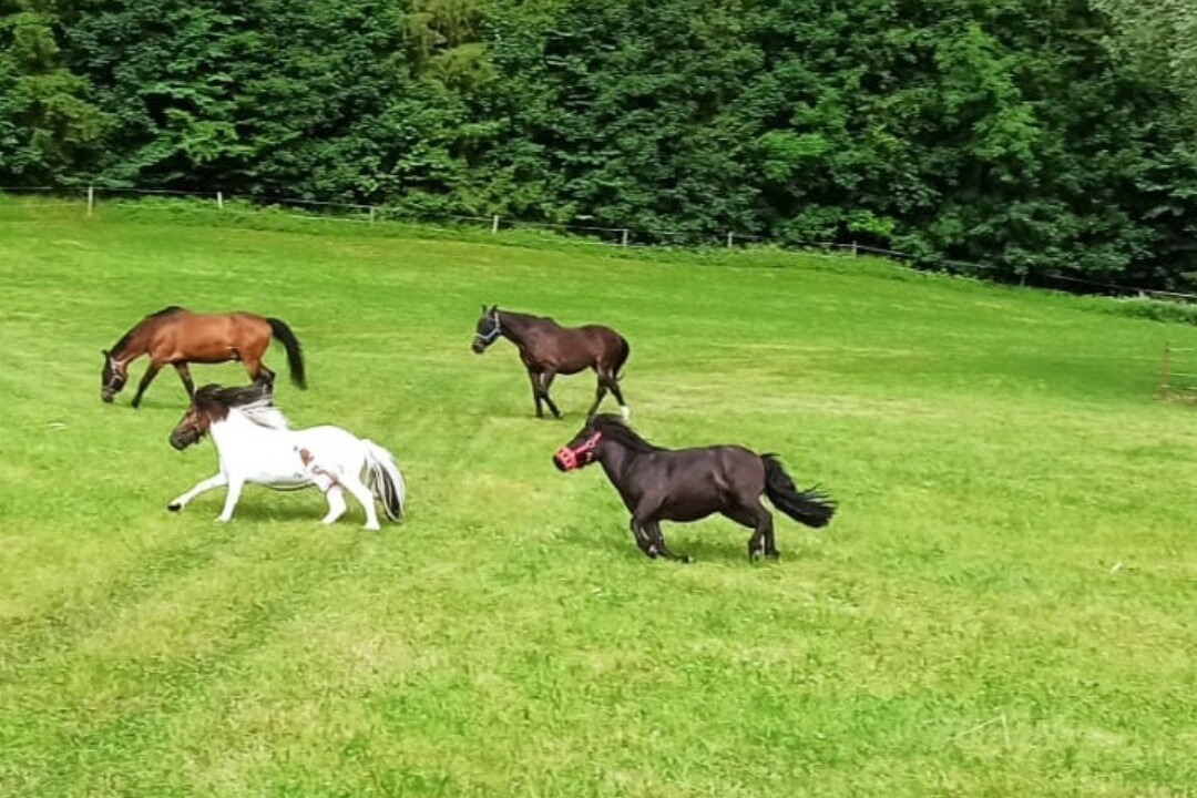 Photo of Others in Ruhpolding
