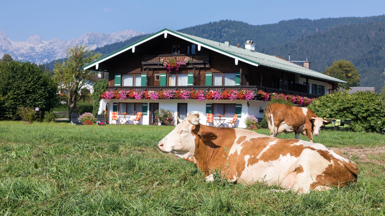 Photo of Outdoor in Oberschonau