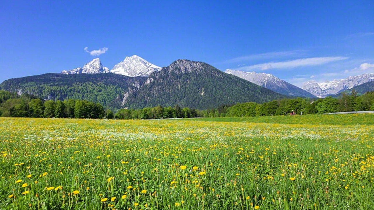 Photo of Outdoor in Schwob