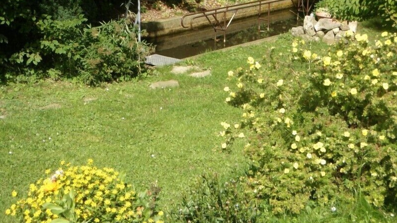 Photo of Outdoor in Anger