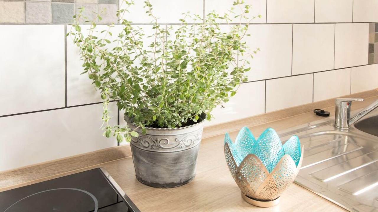 Photo of Kitchen in Riedering