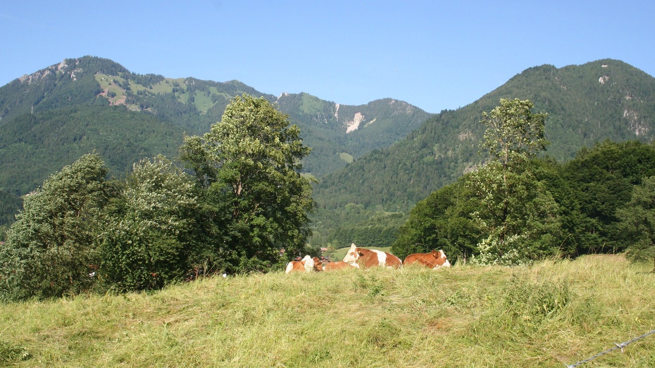 Photo of Outdoor in Unterwoessen