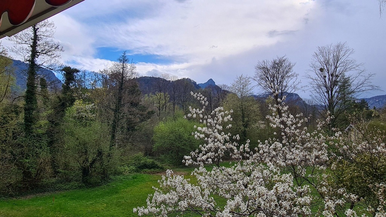 Photo of Others in Bad Reichenhall