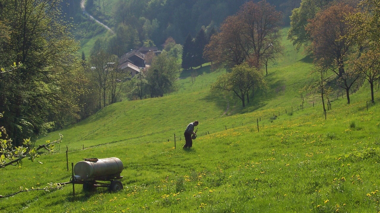 Photo of Others in Samerberg