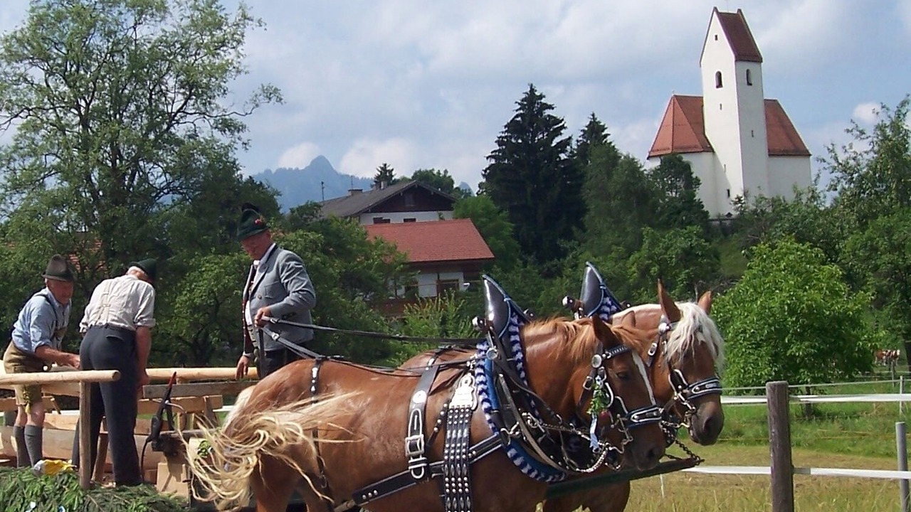 Photo of Others in Samerberg