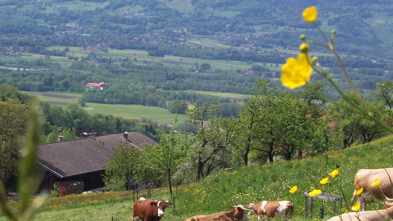 Photo of Outdoor in Samerberg