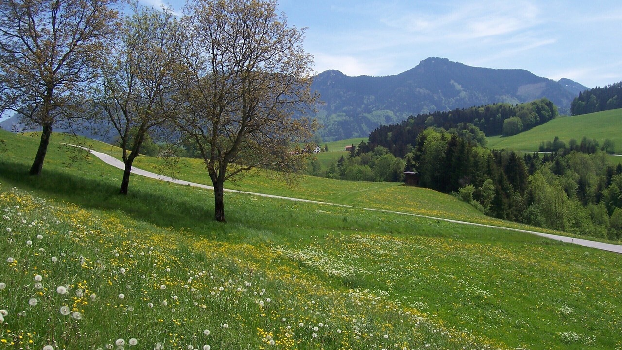 Photo of Others in Samerberg