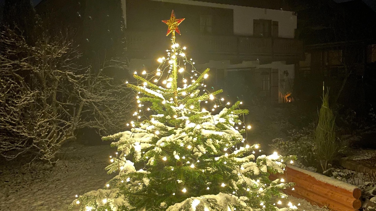 Photo of Outdoor in Schwob