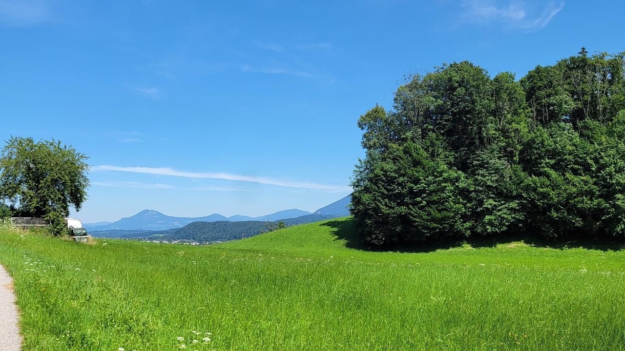Photo of Others in Bad Reichenhall