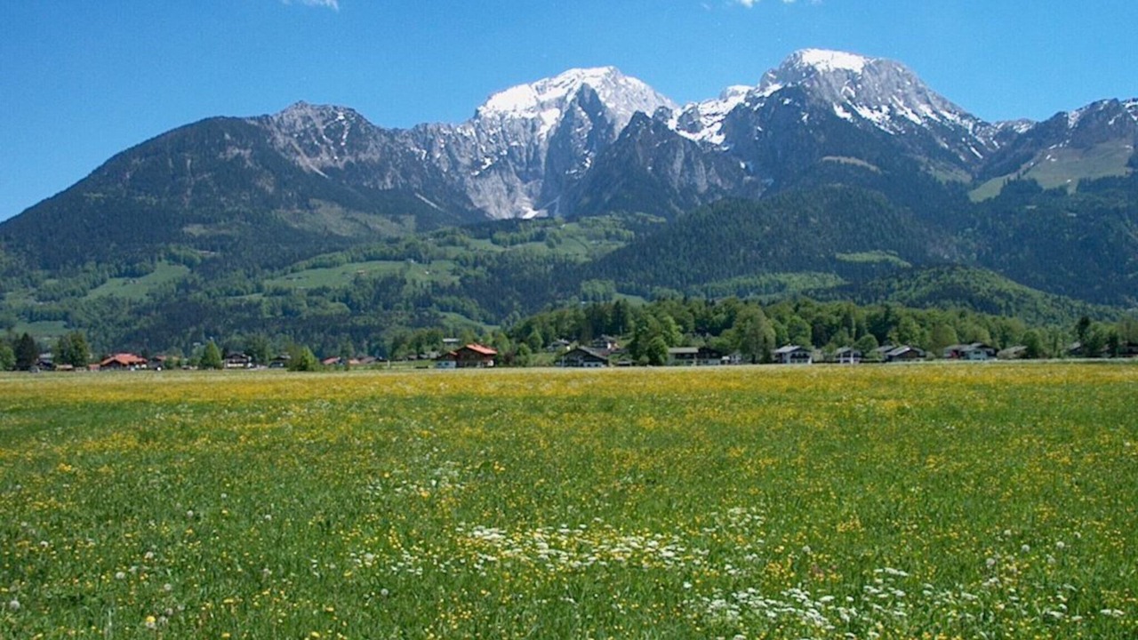 Photo of Others in Oberschonau