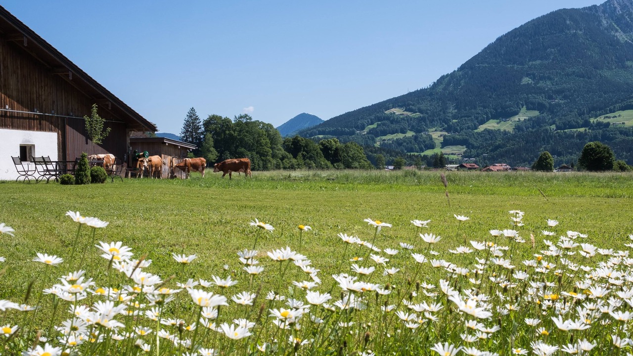 Photo of Outdoor in Oberschonau