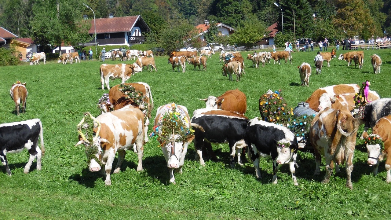 Photo of Outdoor in Uebersee