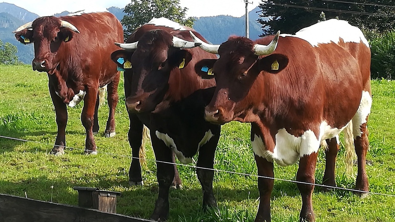 Photo of Outdoor in Uebersee