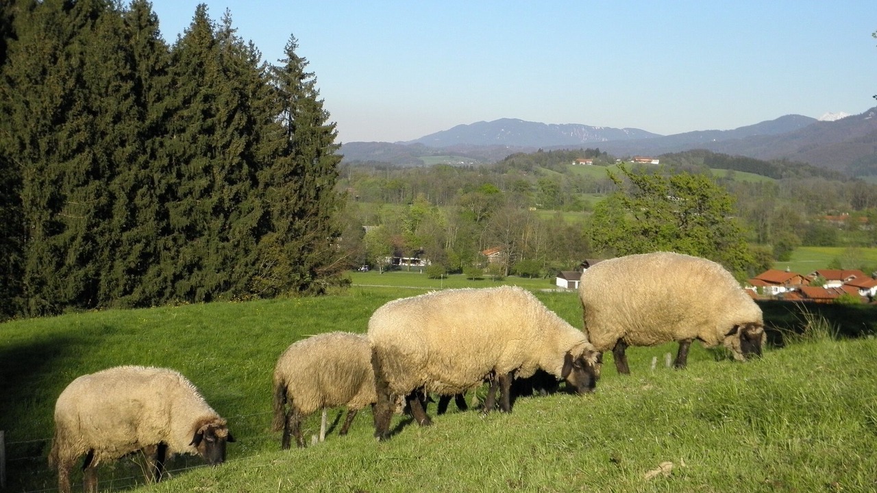 Photo of Outdoor in Uebersee