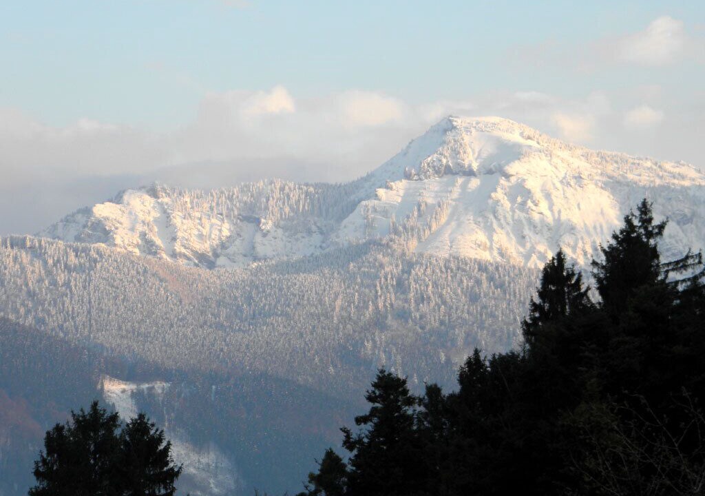 Photo of Others in Uebersee