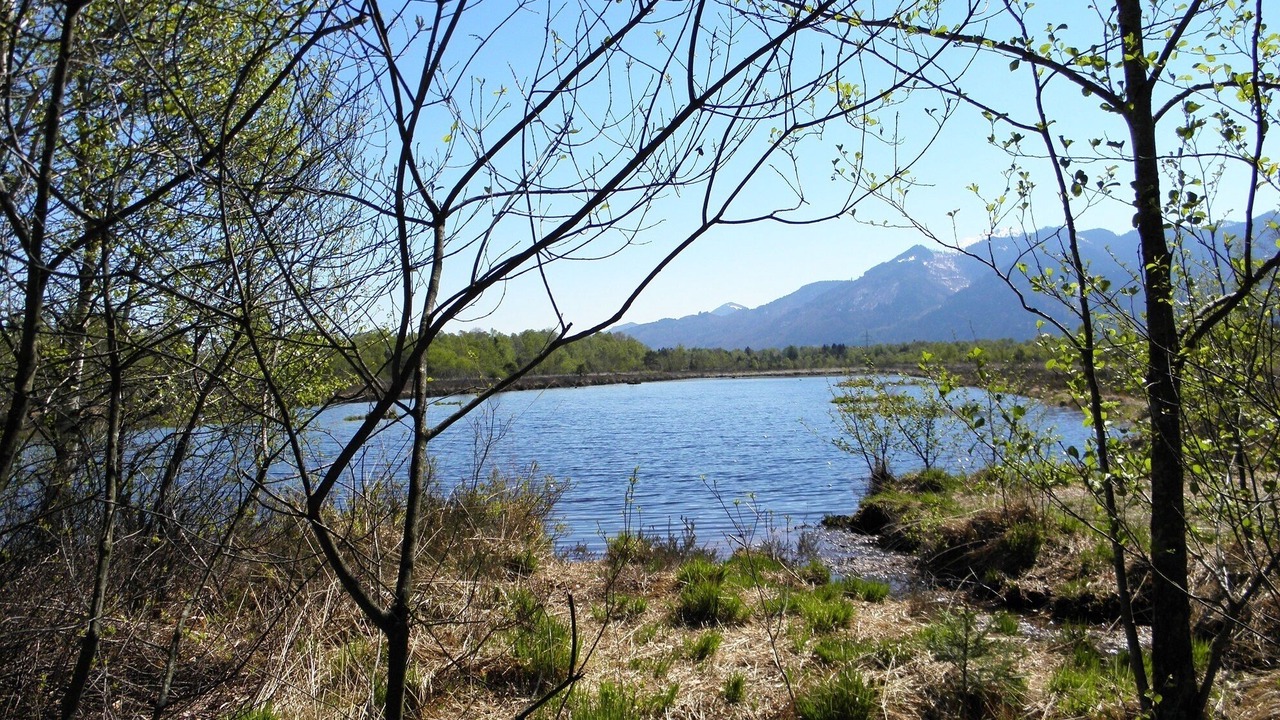 Photo of Others in Uebersee