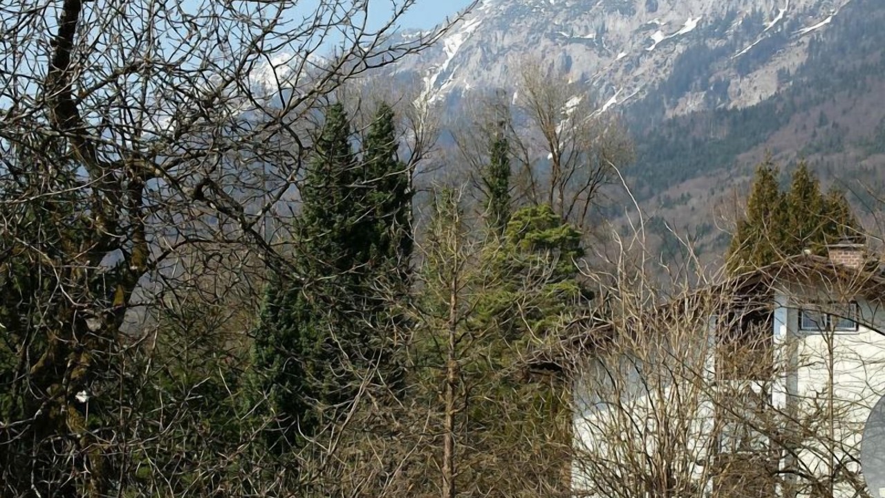 Photo of Others in Bad Reichenhall