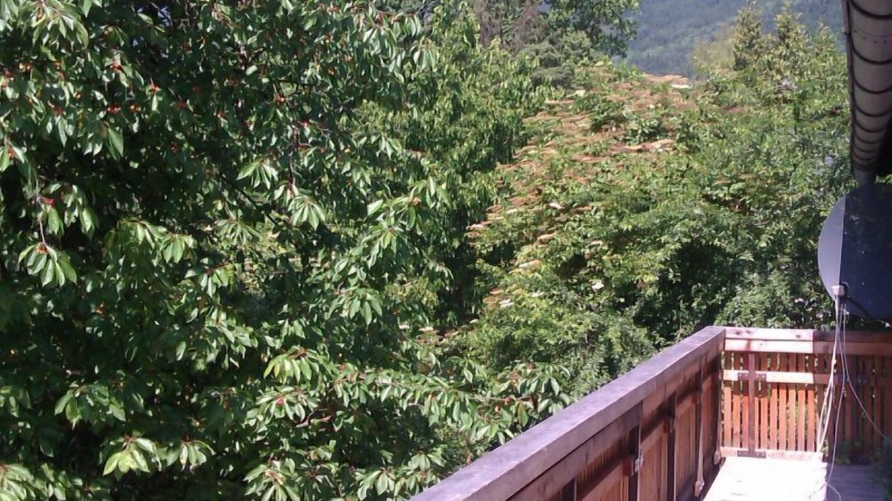 Photo of Outdoor in Bad Reichenhall