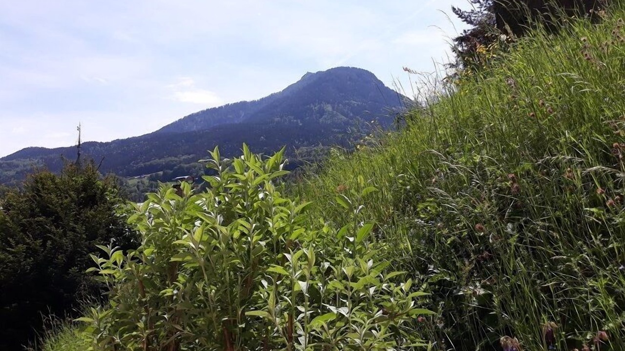 Photo of Outdoor in Berchtesgaden
