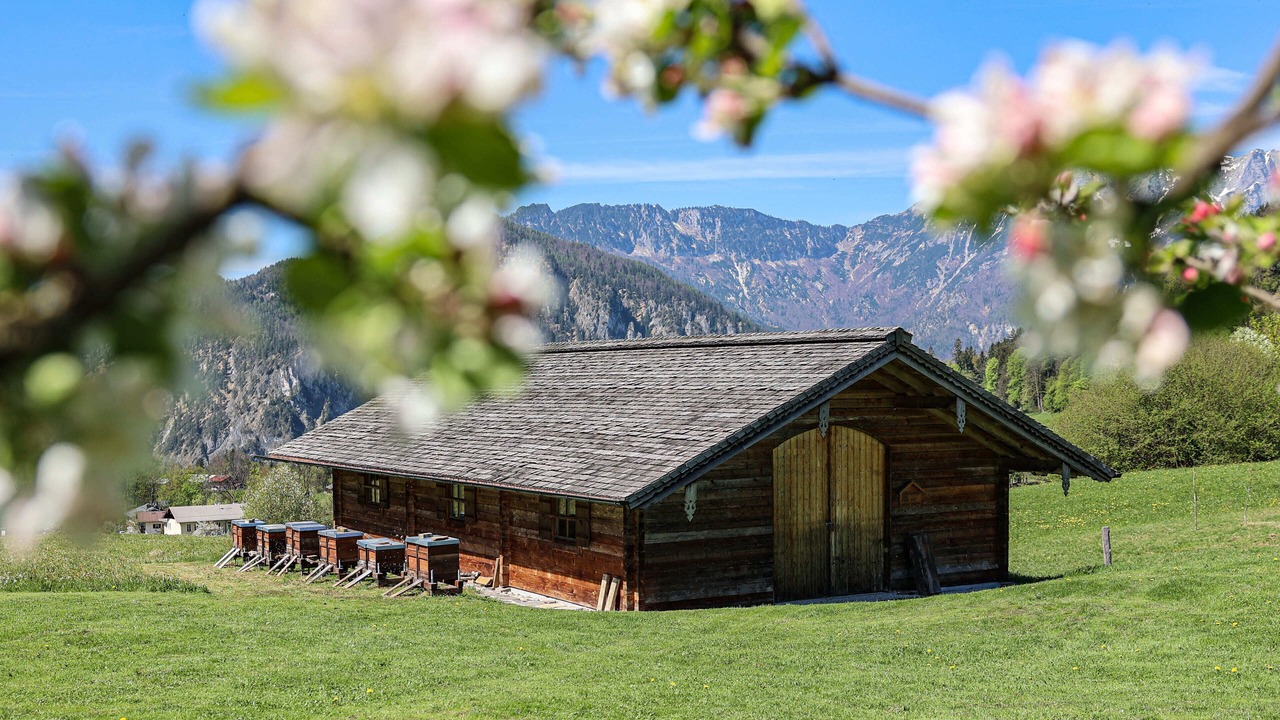 Photo of Outdoor in Oberau