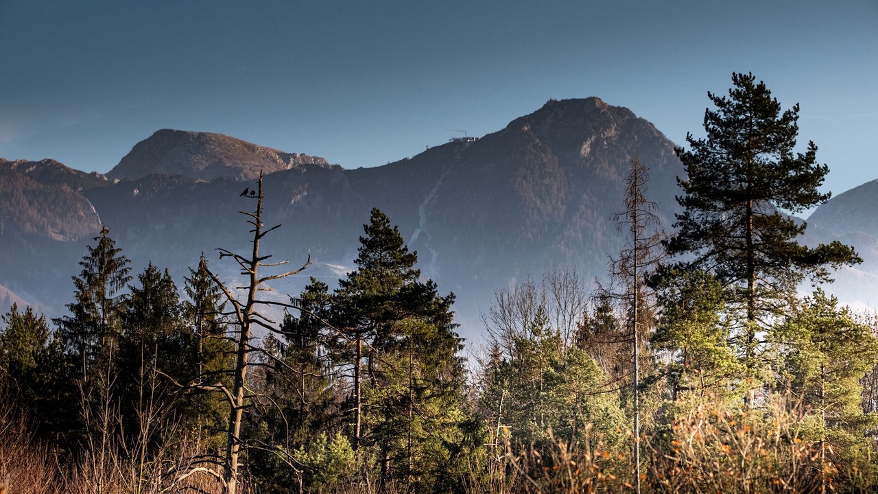 Photo of Outdoor in Bischofswiesen