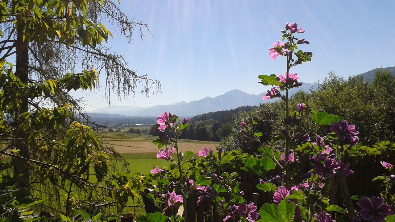 Photo of Outdoor in Bernau am Chiemsee