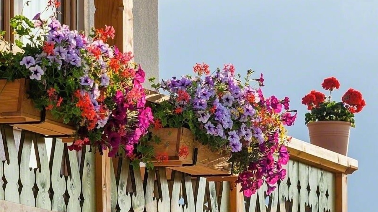 Photo of Outdoor in Bischofswiesen