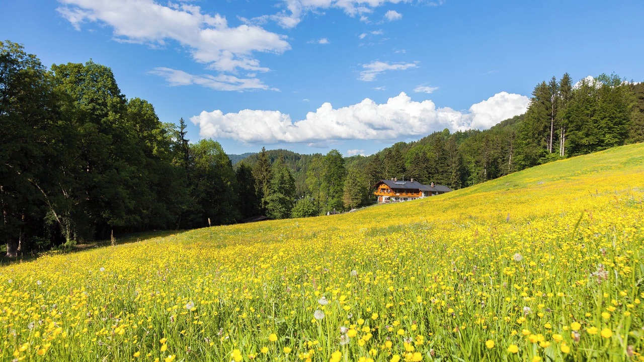 Photo of Others in Berchtesgaden