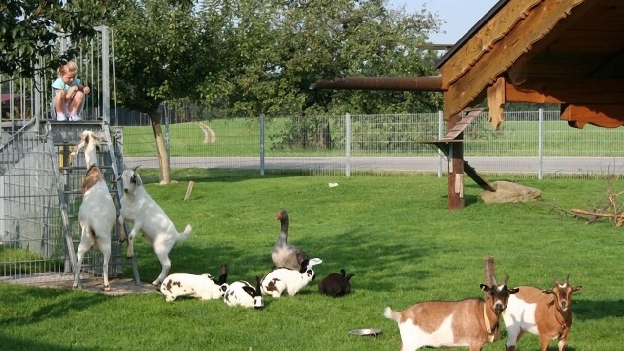 Photo of Outdoor in Hoslwang
