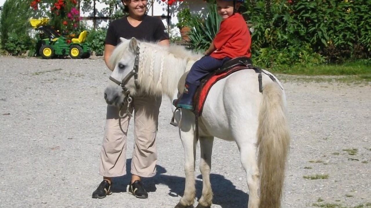 Photo of Others in Hoslwang