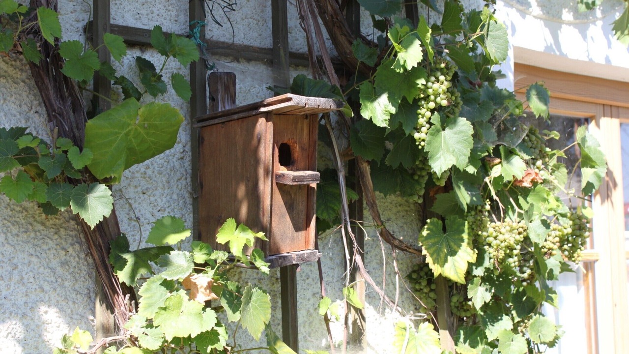Photo of Outdoor in Traunreut