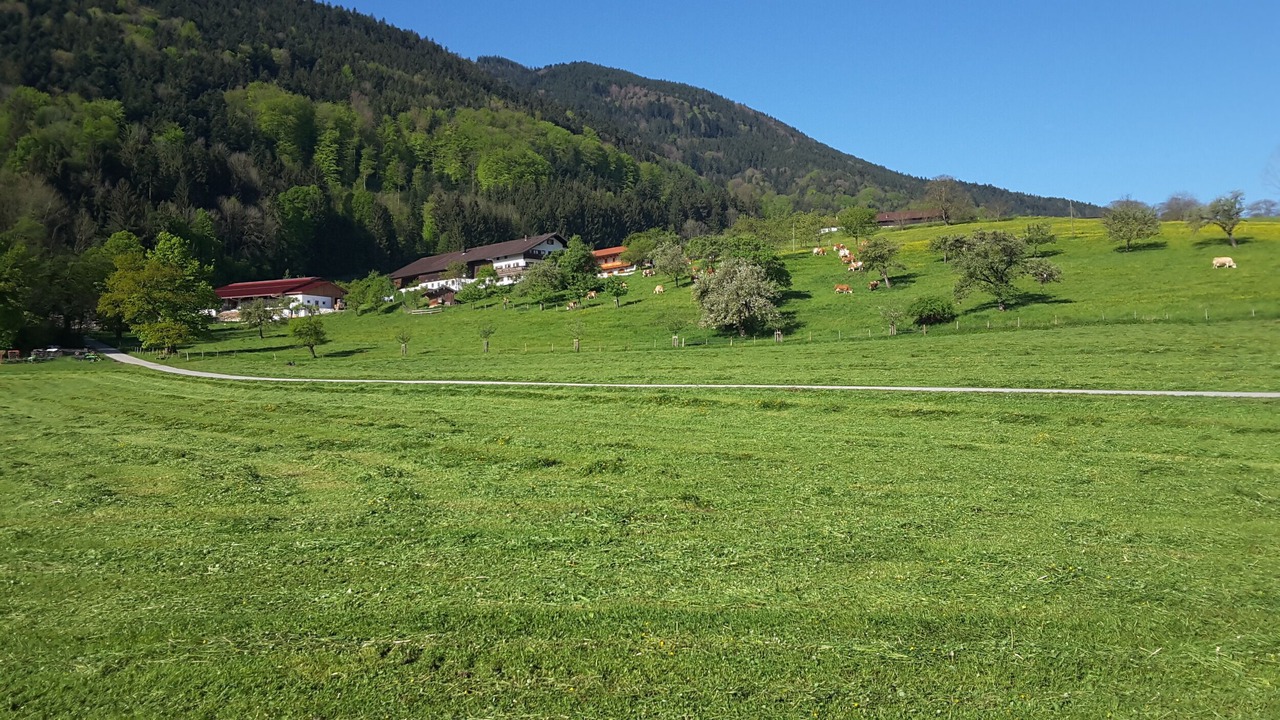 Photo of Others in Bad Feilnbach