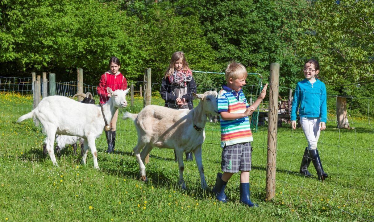 Photo of Outdoor in Marktschellenberg