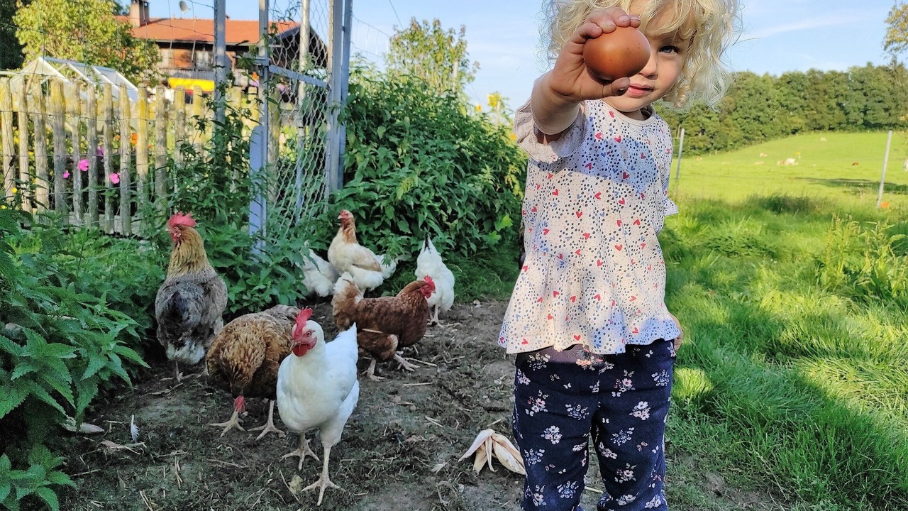 Photo of Others in Frasdorf