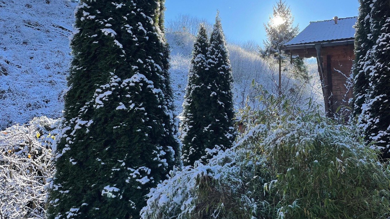 Photo of Outdoor in Schwob