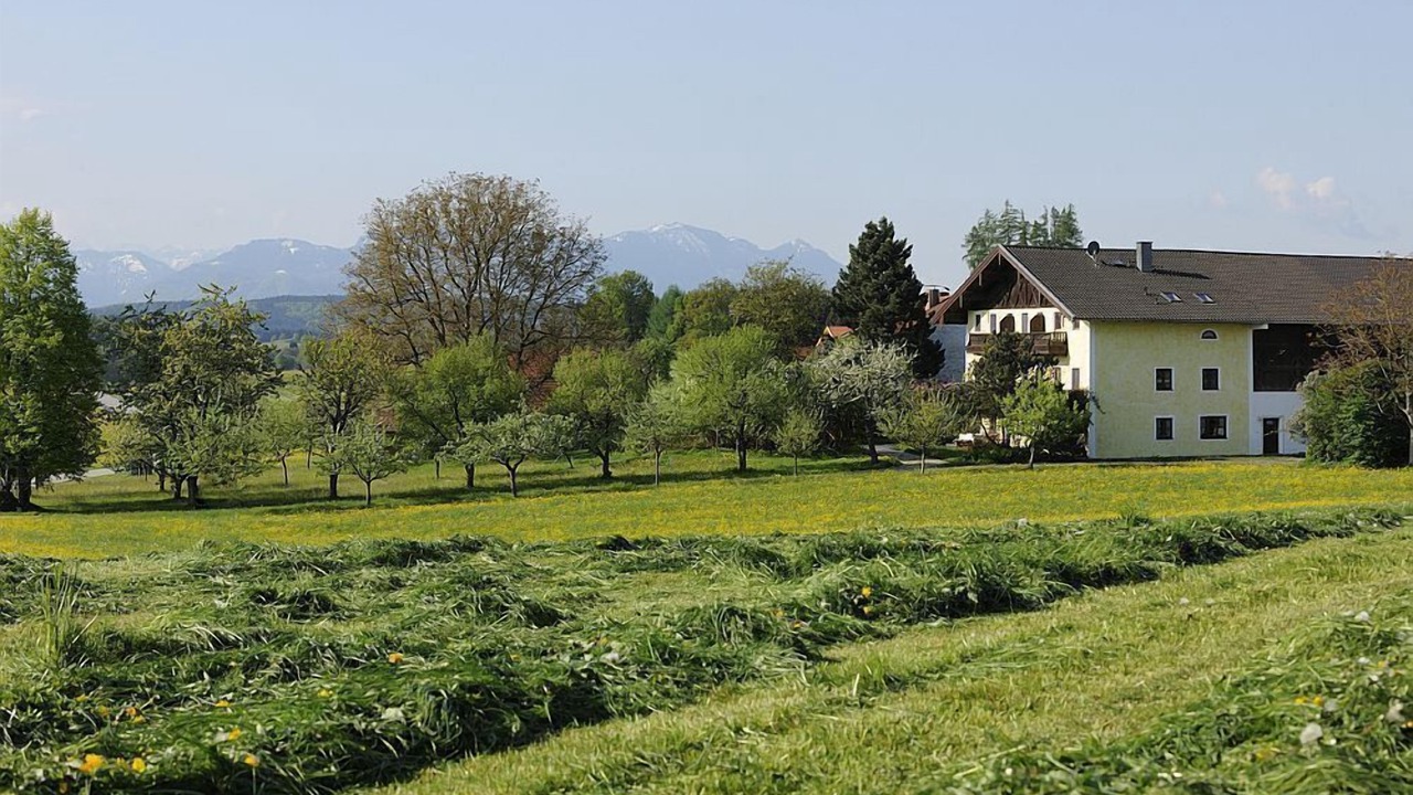 Photo of Outdoor in Hoslwang