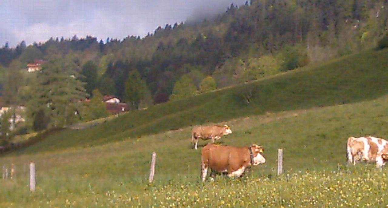 Photo of Others in Reit im Winkl