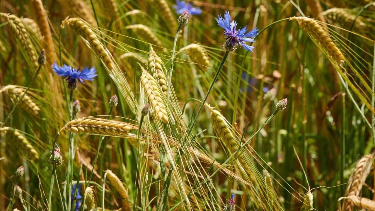 Photo of Outdoor in Hoslwang