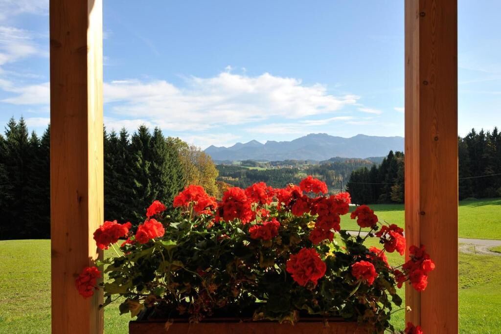 Photo of Outdoor in Rimsting