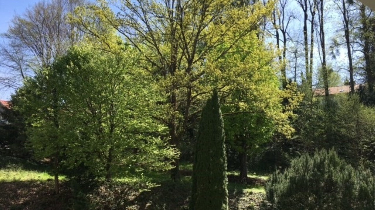 Photo of Outdoor in Gmain