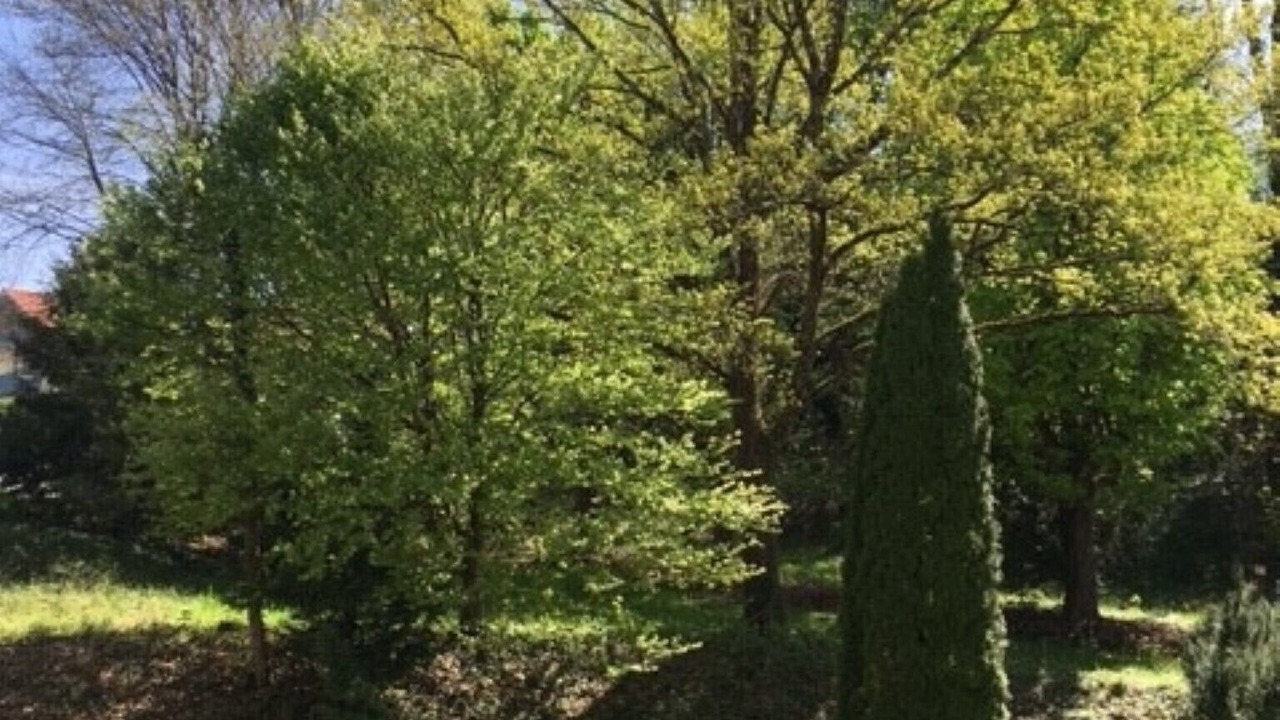 Photo of Outdoor in Gmain