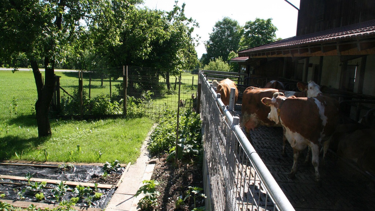 Photo of Outdoor in Bad Endorf