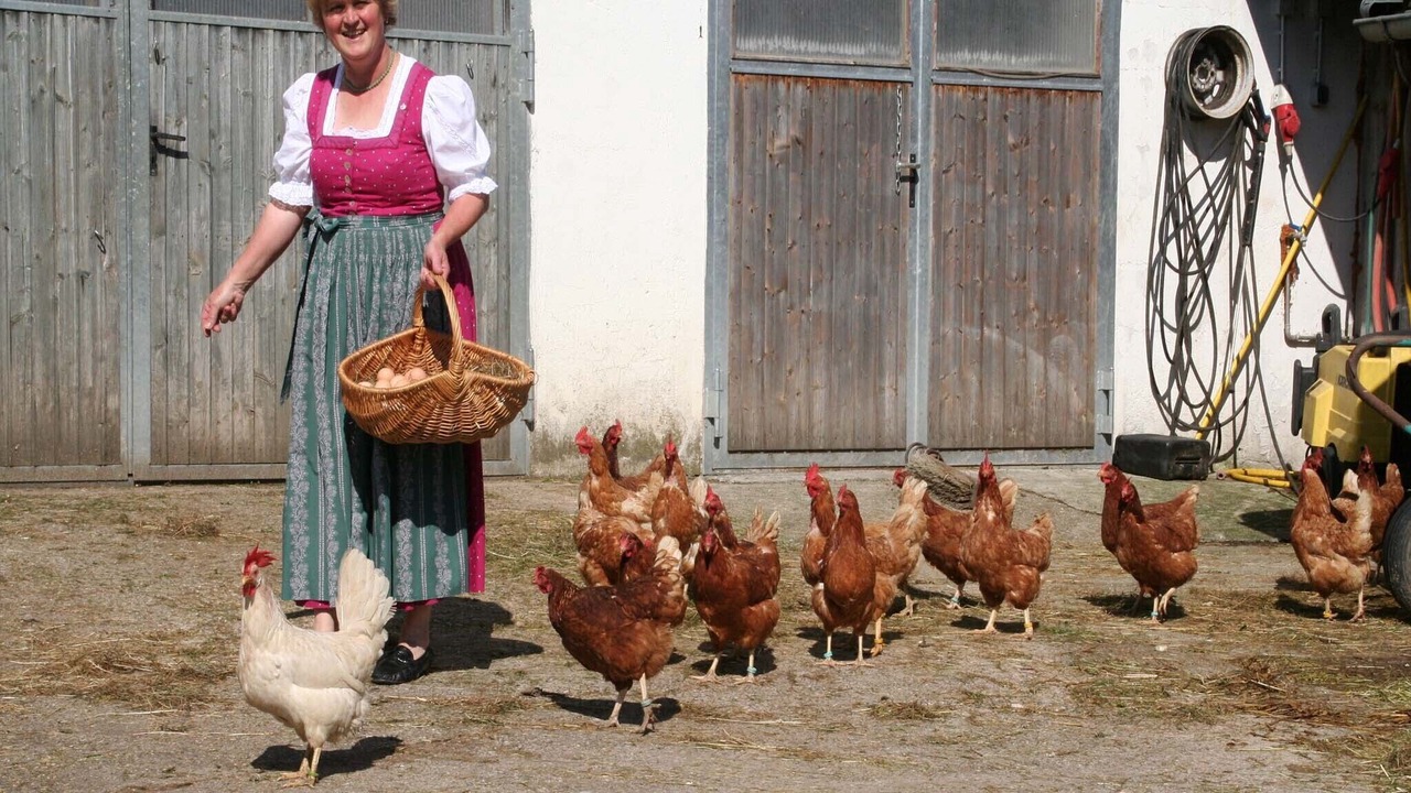 Photo of Others in Bad Endorf