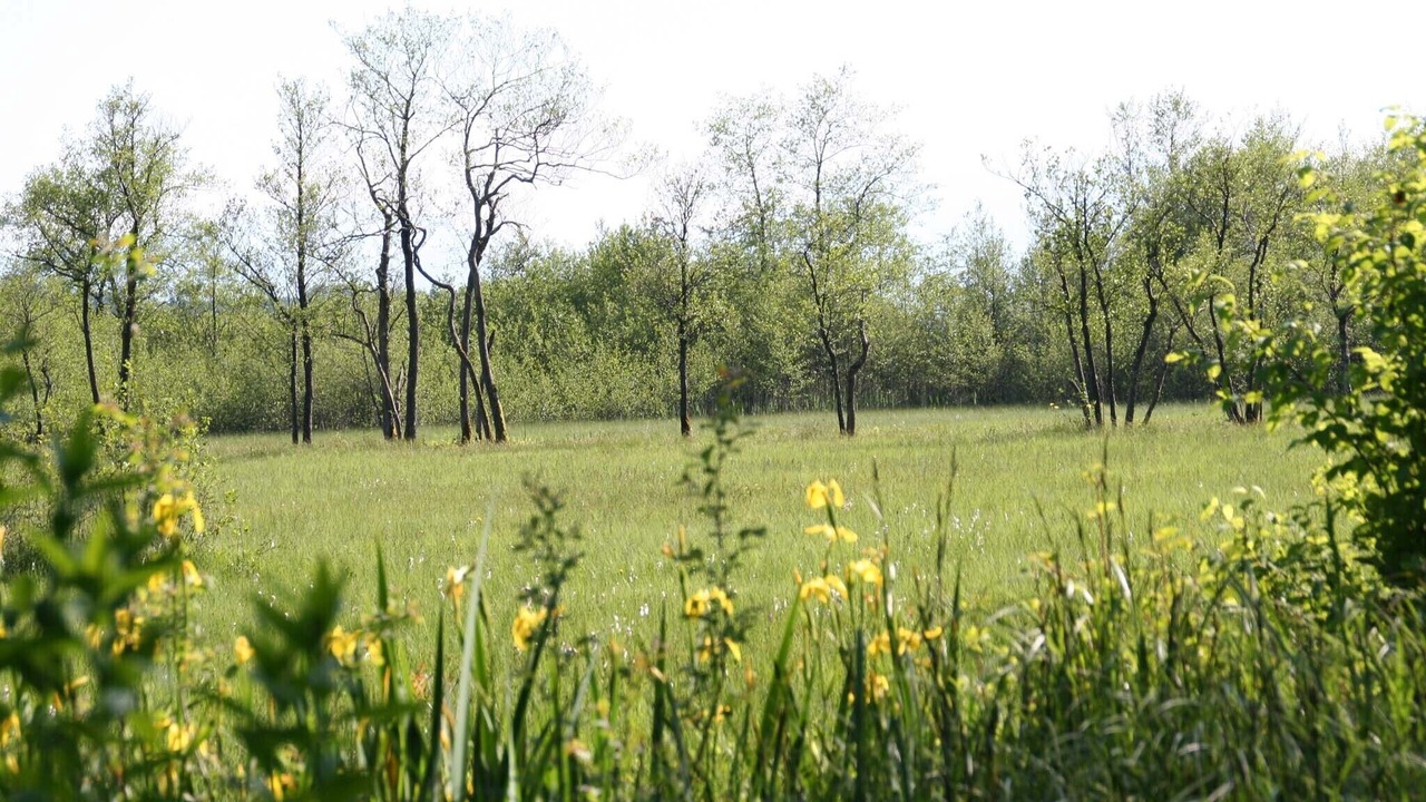 Photo of Outdoor in Bad Endorf