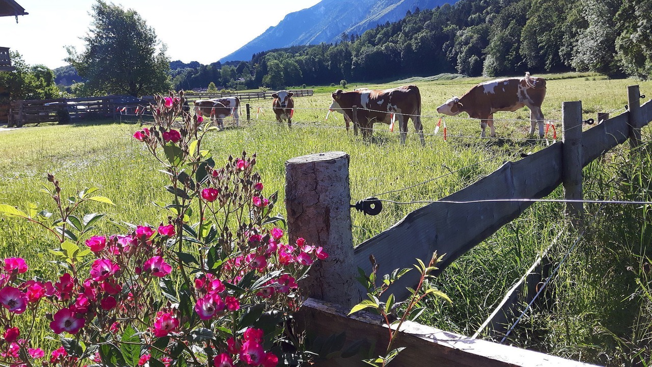 Photo of Outdoor in Weissbach