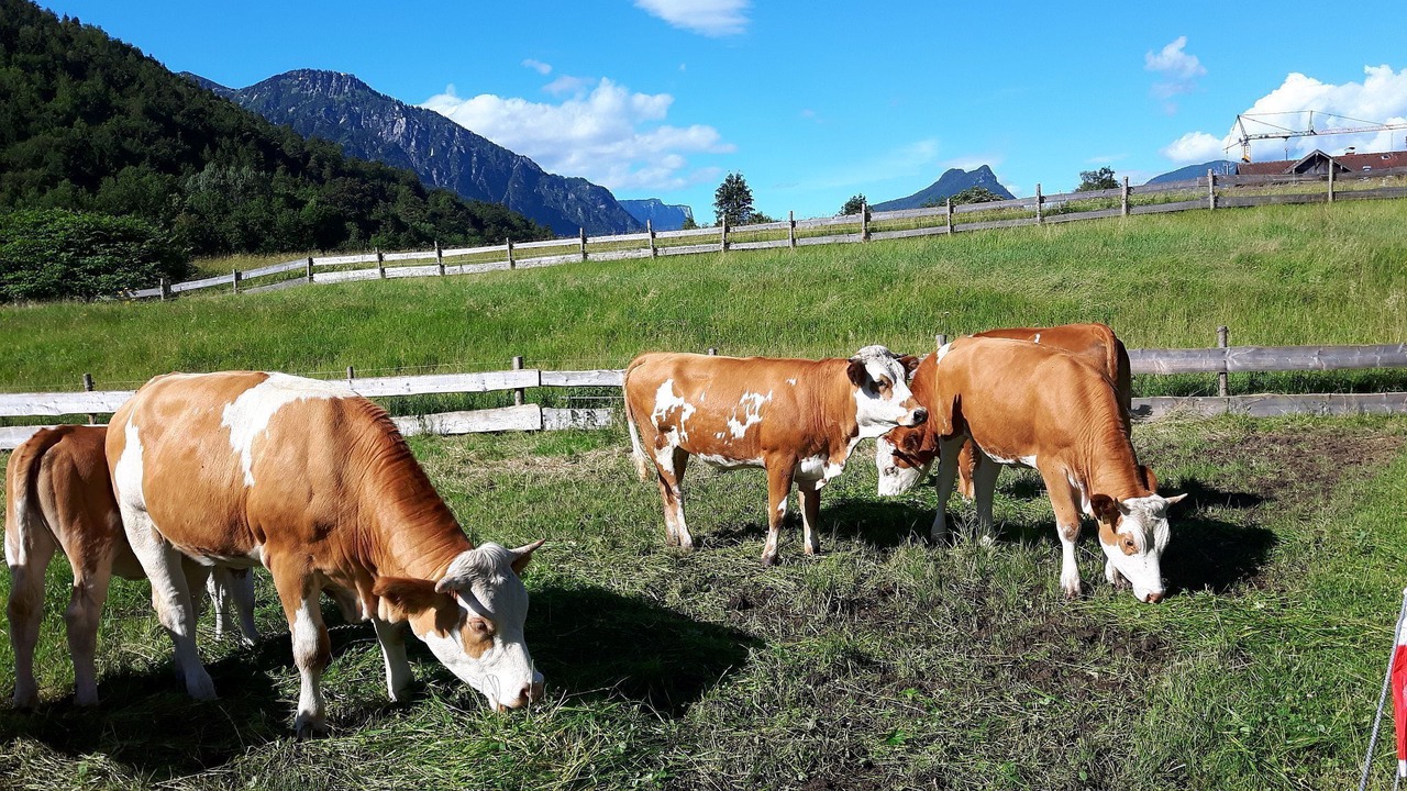 Photo of Outdoor in Weissbach