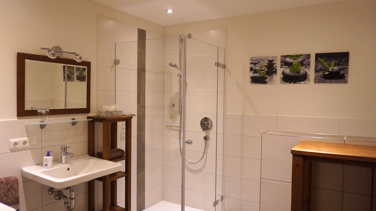 Photo of Bathroom in Willing